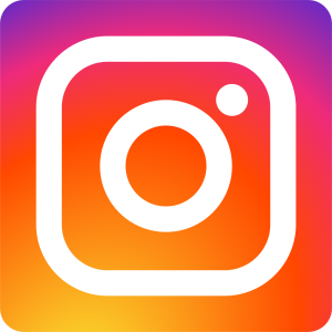 Instagram Icon - LGBTQ+ abuse