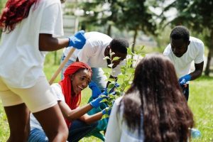 Volunteer Gardening